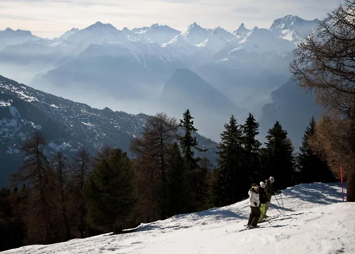 Daire Mayens De L Ours Az 013 - Mountain 8p *