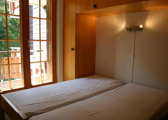 Mayens De L Ours Az 013 - Mountain 8p